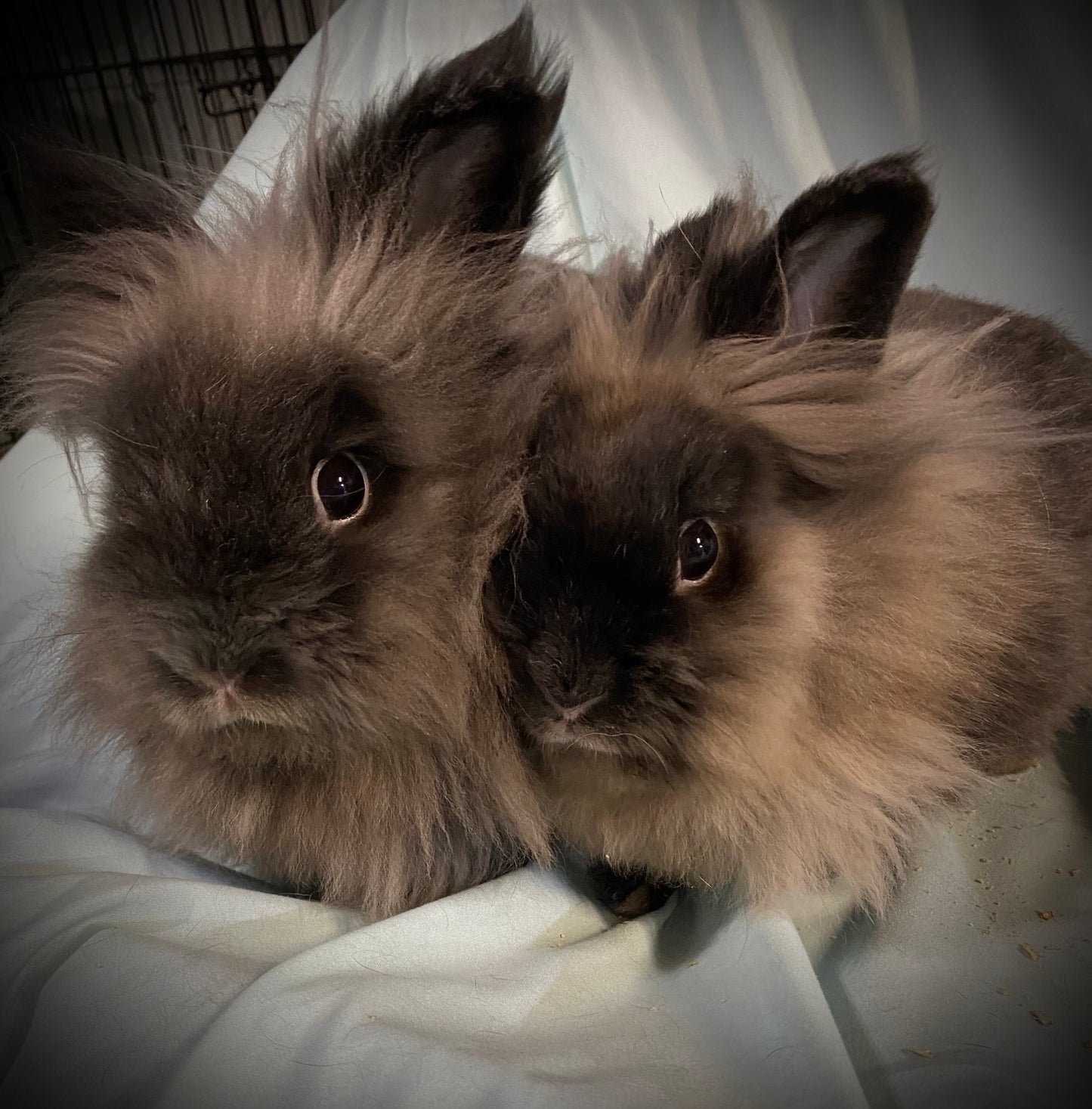 Becca and Winne