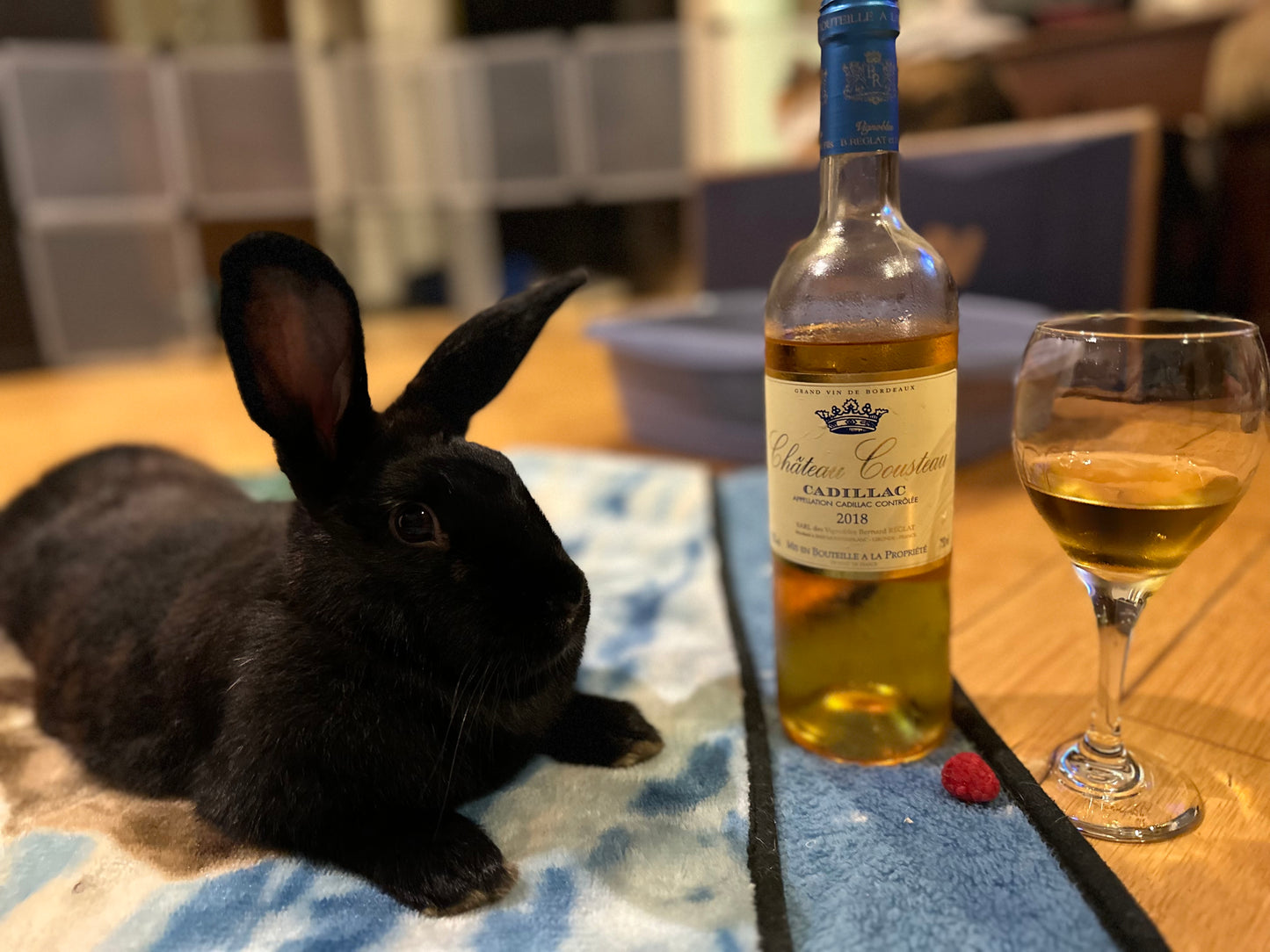 Truffle