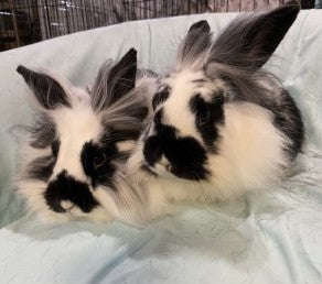 Penelope and Naomi