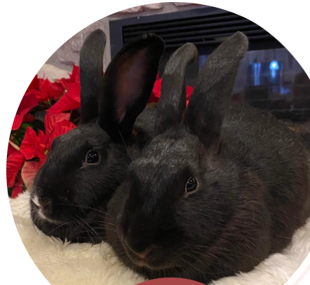 Molly and Mary